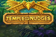 Temple of Nudges